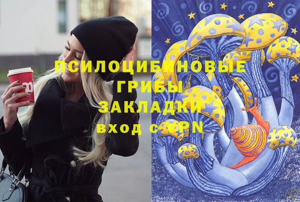 a pvp Россошь