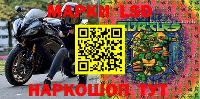 гашик Дубна
