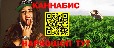 гашик Дубна