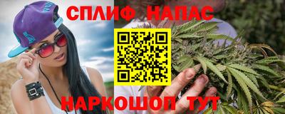 гашик Дубна