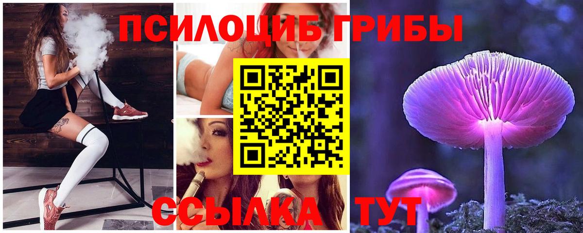 Партизанск  Псилоцибиновые грибы GOLDEN TEACHER  Вход с VPN 